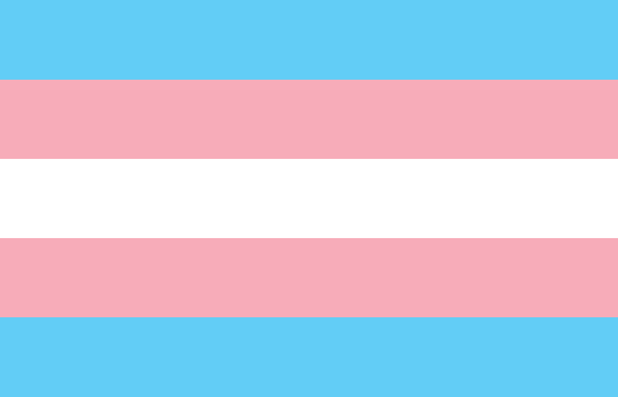 Transgender Pride Flag. The coloured stripes in order from the top are baby blue, baby pink, white, baby pink and baby blue.