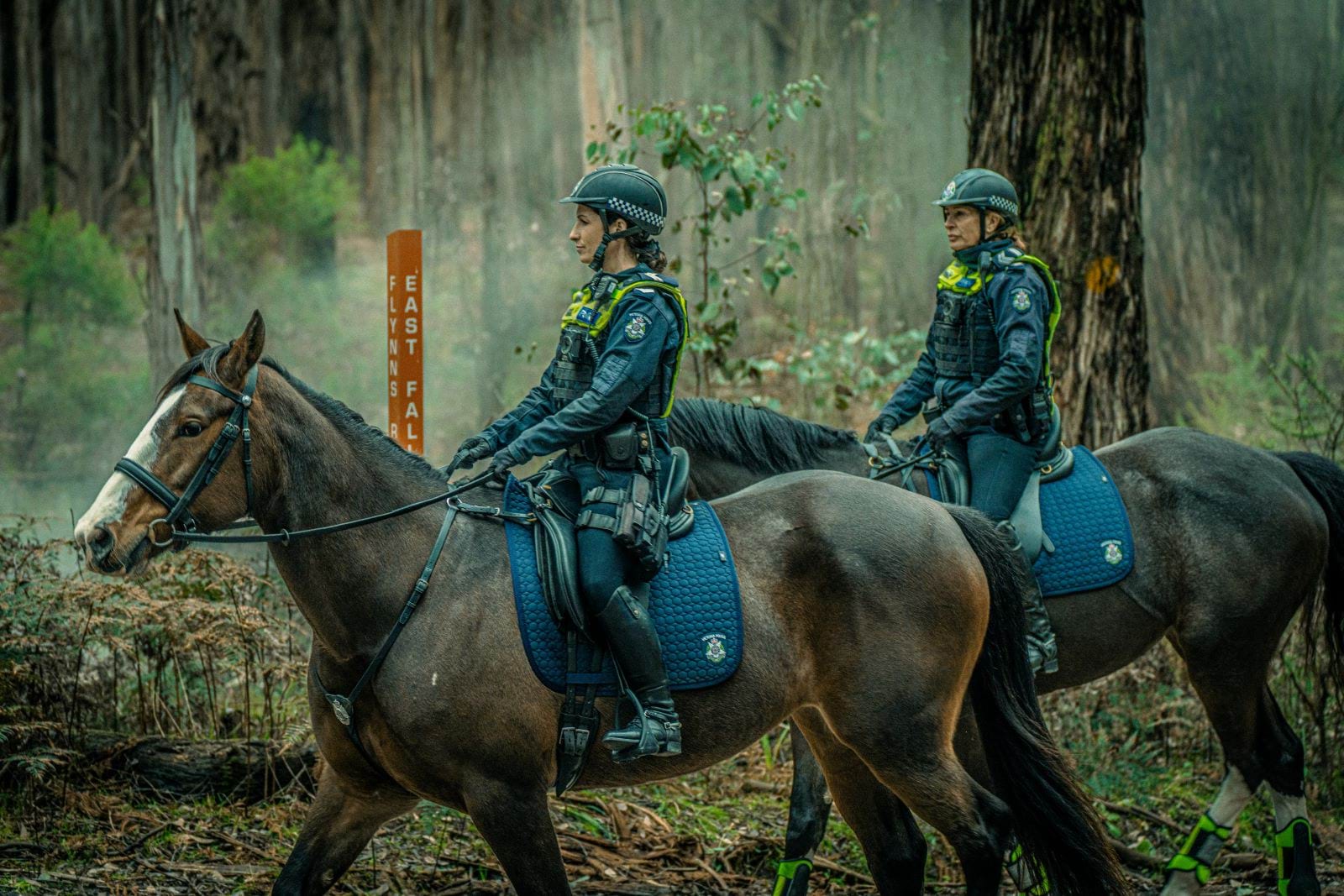 Two mounted police officers on horseback riding through a forest trail. 